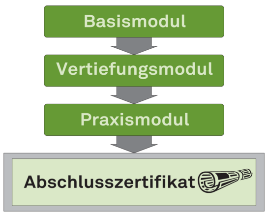 Graphische Darstellung des Programmablaufs für die Tutorenqualifzierung im Projekt TUMENDO
