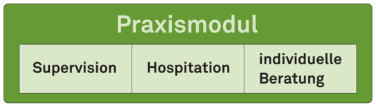Graphische Darstellung des Praxismoduls im Projekt TUMENDO
