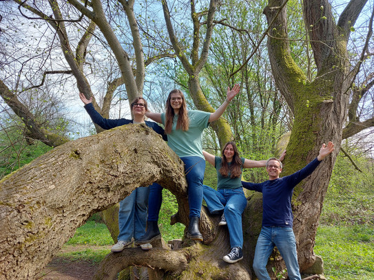 Foto des Projektteams TREE-ING vor einem Baum