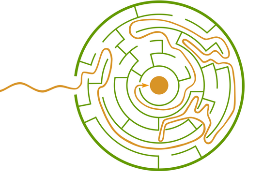 Ein rundes Labyrinth mit grünen Wänden. Durch das Labyrinth schlängelt sich ein orangefarbener Faden bis zur Mitte.