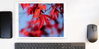 Tablet mit einem Foto von herbstlich verfärbten Blättern, daneben ein Handy, eine Computermaus und darunter eine Tastatur